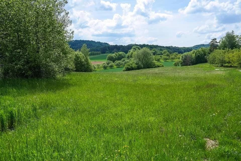 Prirodne livade i pašnjaci – Kako povećati prinose