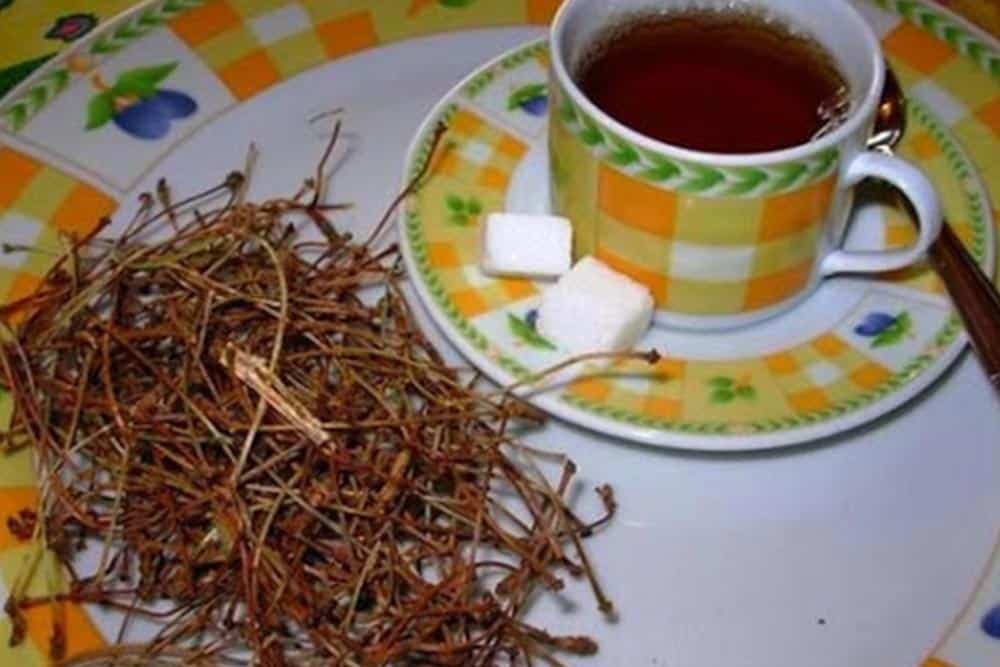 Čaj od peteljki trešnje