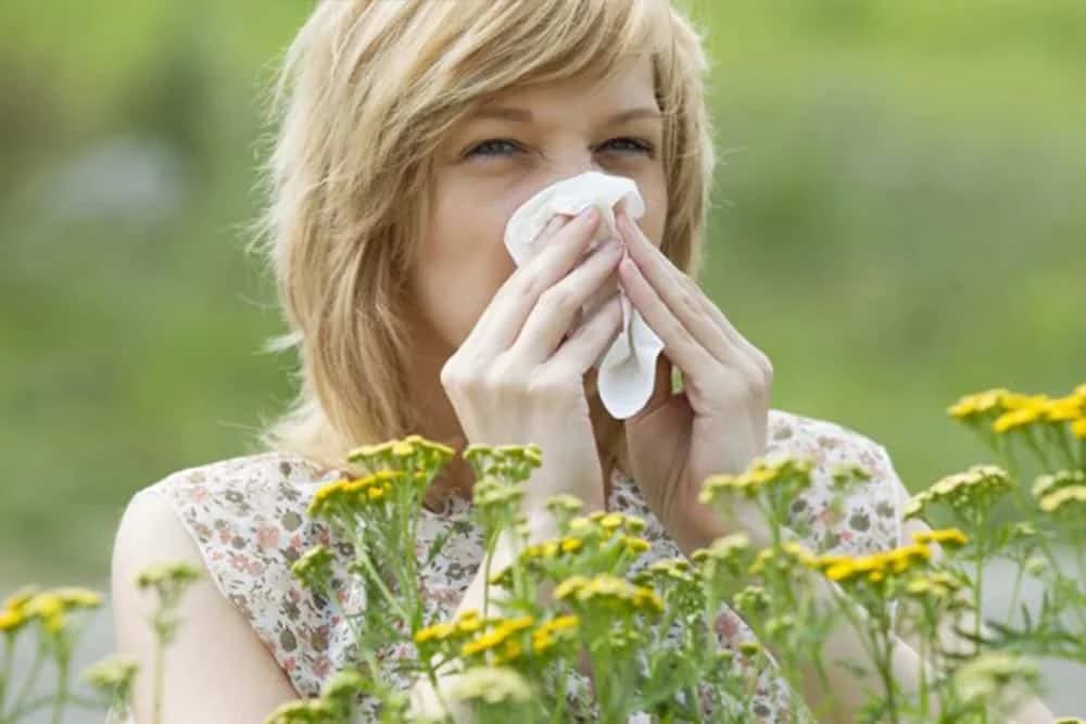Ove biljke najviše izazivaju alergijske tegobe