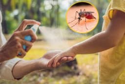 Prirodni sprej protiv komaraca - napravite sami!