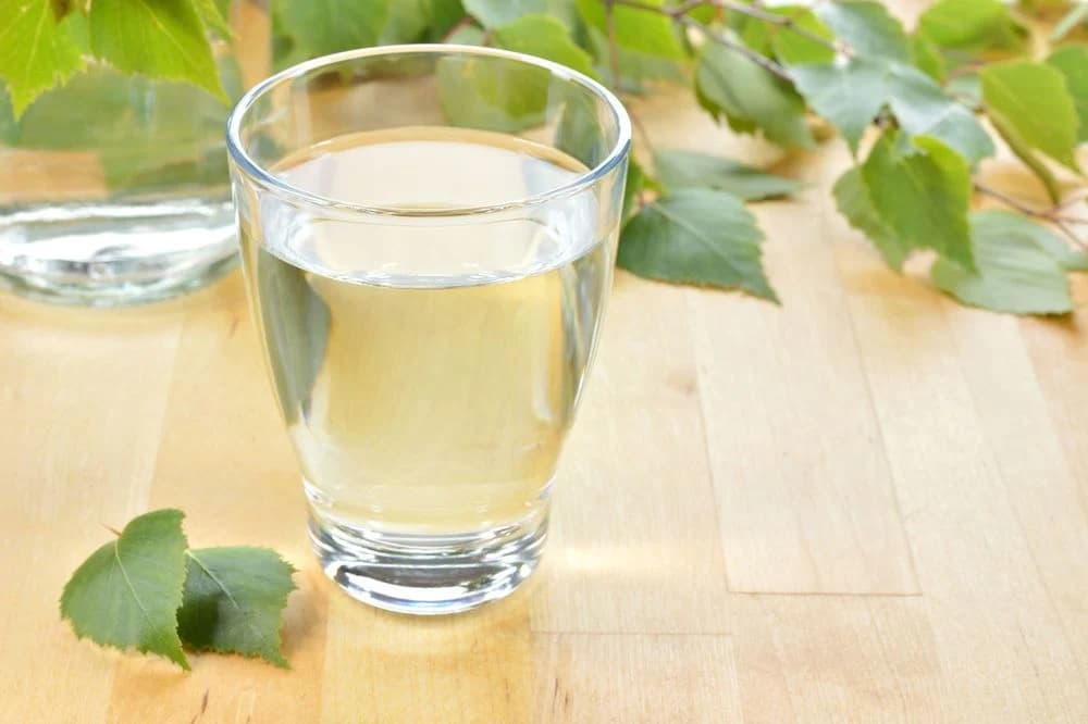 Da li ste znali da VODA OD BREZE ima ova ljekovita svojstva