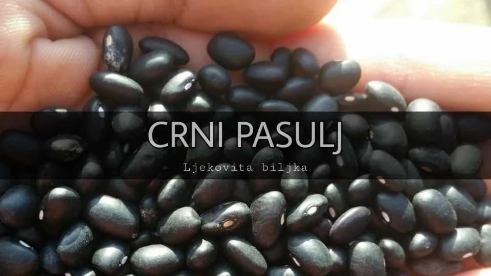 Crni pasulj - Njegov značaj i upotreba