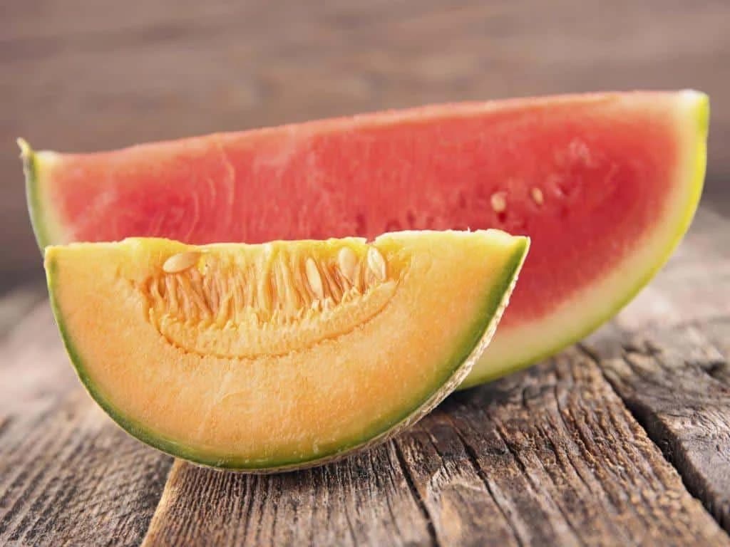 Korisni savjeti za bolji rod dinje i lubenice