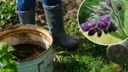 Evo kako da napravite organsko tečno đubrivo: Ovo djeluje kao raketno gorivo za rast svih biljaka!