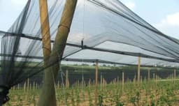 Protivgradne mreže: Evo o čemu treba voditi računa pri izboru