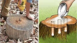 Jednostavan način da se riješite PANJEVA