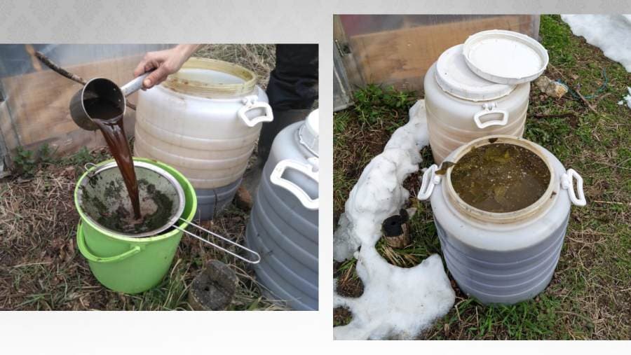 Kompostni čajevi: Prirodna prihrana vaših biljaka