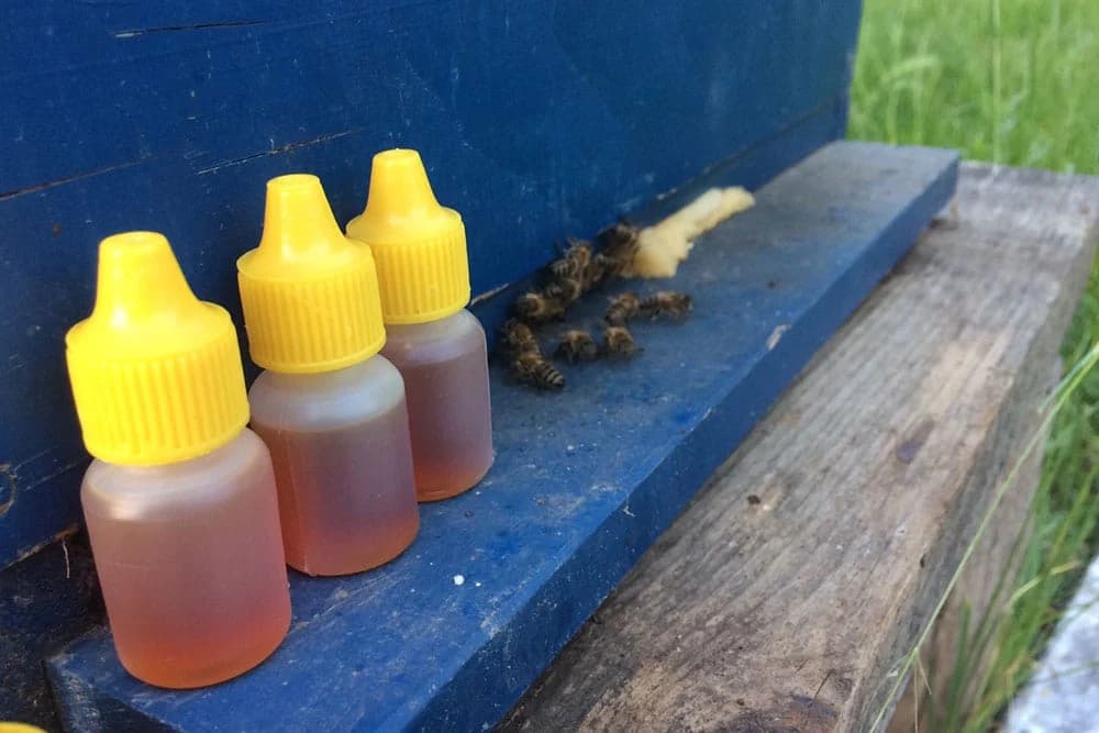 PROPOLIS: Lijek koji ubija sve što smeta organizmu