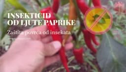 Preparat od LJUTE PAPRIKE - Zaštitite povrće od NAJEZDE insekata!