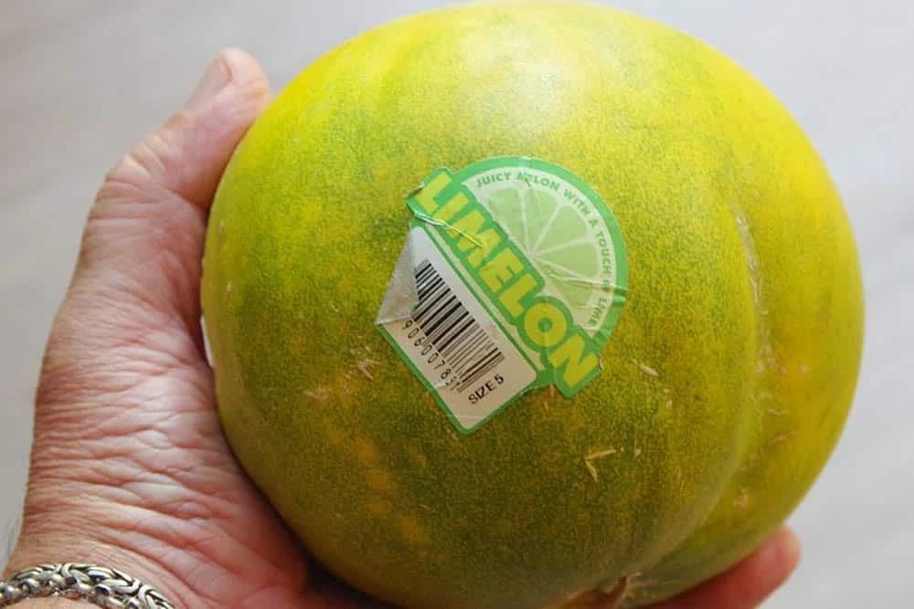 Limelon - nova sorta voća na evropskom tržištu