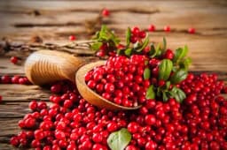 Moćna brusnica, prirodni antibiotik: Evo za šta je dobra i kako se konzumira!