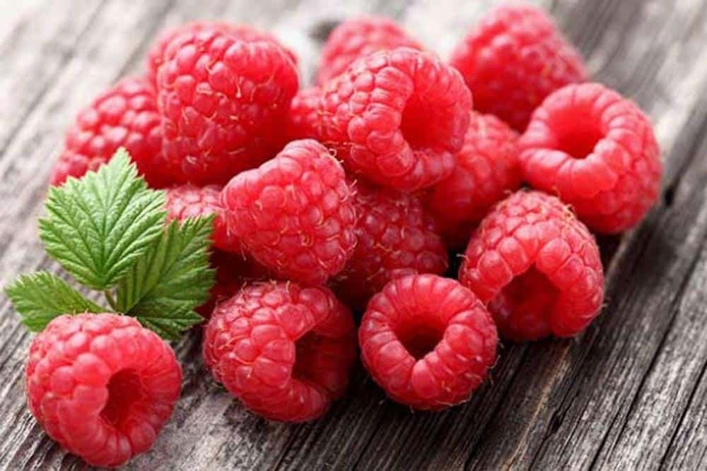 Kako da sačuvate svježinu MALINA nekoliko dana