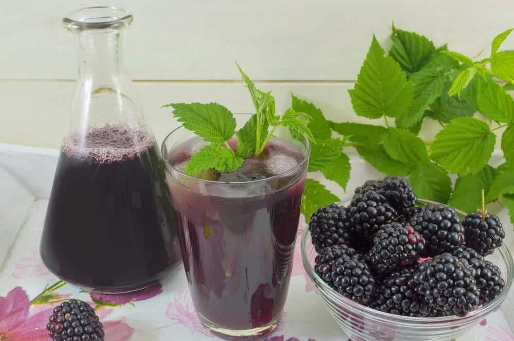 Sirup od kupina recept: Samo jedna čaša dnevno čini čuda za organizam!