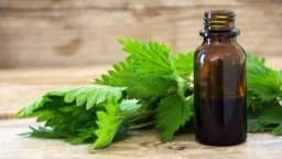 Šta je tinktura i kako je napraviti u 2 jednostavna koraka