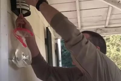 Spriječite muve da ulaze u kuću - potrebni su vam samo kesa sa vodom i novčići! (VIDEO)