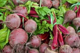 Sedam namirnica koje spremaju organizam za zimu