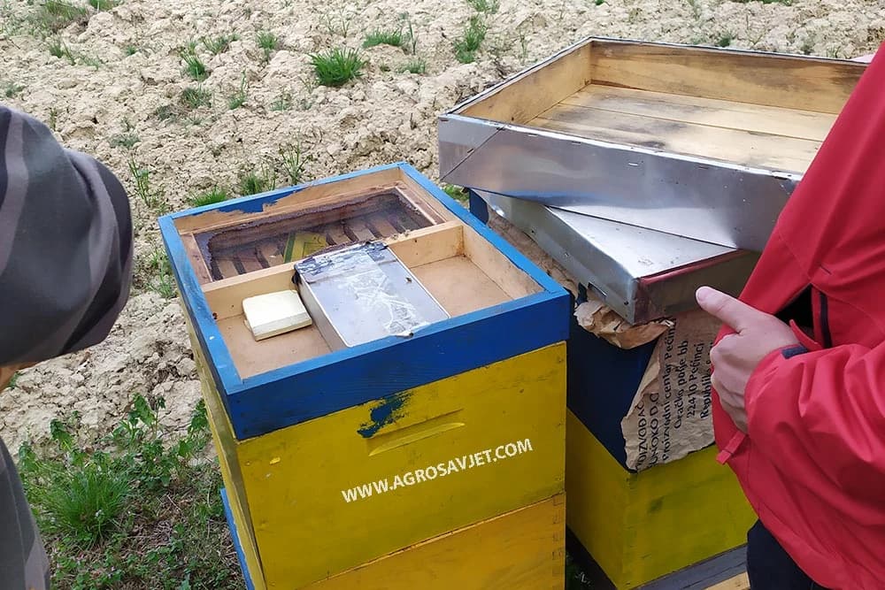otvaranje košnica