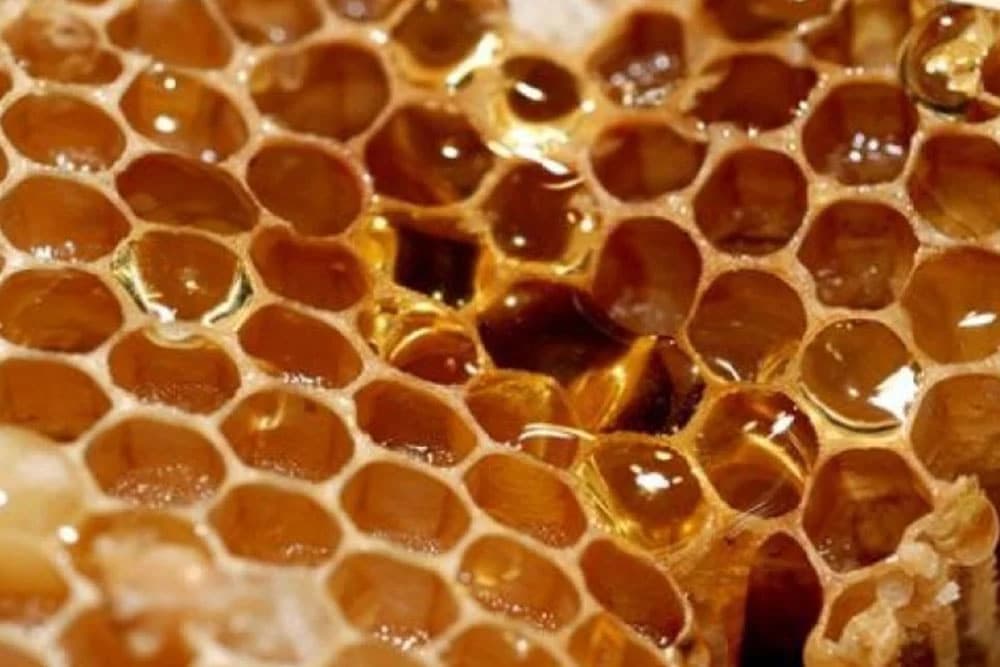 Kako da istopite vosak uz pomoć Sunčeve toplote