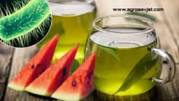 Ešerihija koli - Urinarna infekcija nestaje za 10 dana /RECEPT/