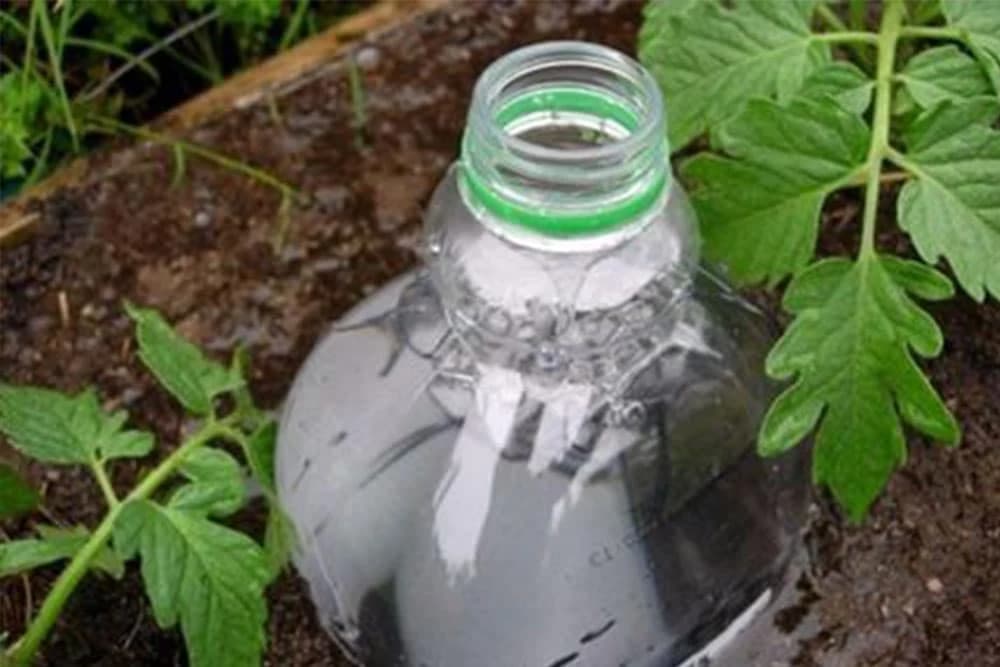 Kako da ovog ljeta brže zalivate baštu i saksije /VIDEO/