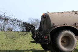 Osoka - Prednosti i mane