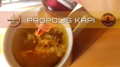 Kako da koristite med i propolis protiv čira na želucu i gastritisa