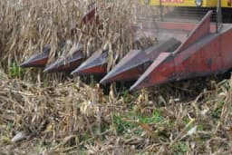 Kako pravilno pripremiti heder za kombajniranje kukuruza?