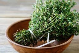 Upotreba majčine dušice u kulinarstvu