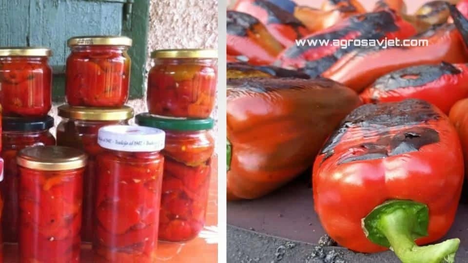 salata od šečenih paprika