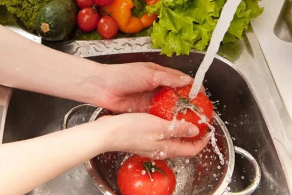 PRANJE VOĆA I POVRĆA