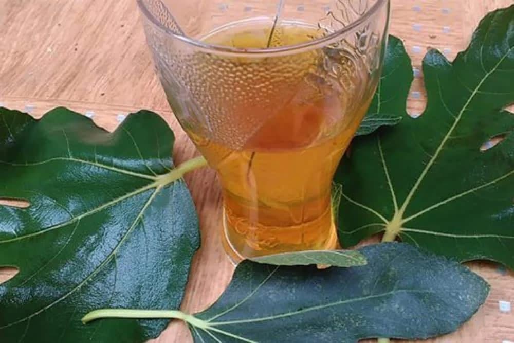 SIRUP OD LISTOVA SMOKVE