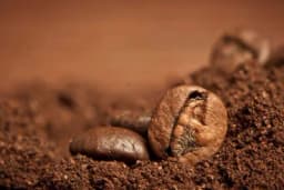 Tri dobra razloga zbog kojih bi trebalo da pijete kafu