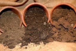 Testiranje tipa zemljišta u kućnim uslovima!