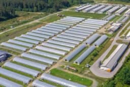 Bingo nastavlja razvijati proizvodnju voća i povrća: Zašto uvoziti, kada uspijeva i u BiH?