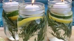 RJEŠENJE PROTIV KOMARACA: U dvorište postavite dvije tegle i komarci će vas zaobilaziti