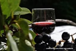 Recept za domaći liker od aronije