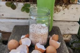 Kako najbrže osloboditi kalcijum iz ljuski od jaja?