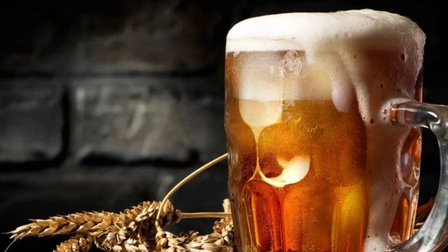 Pivo