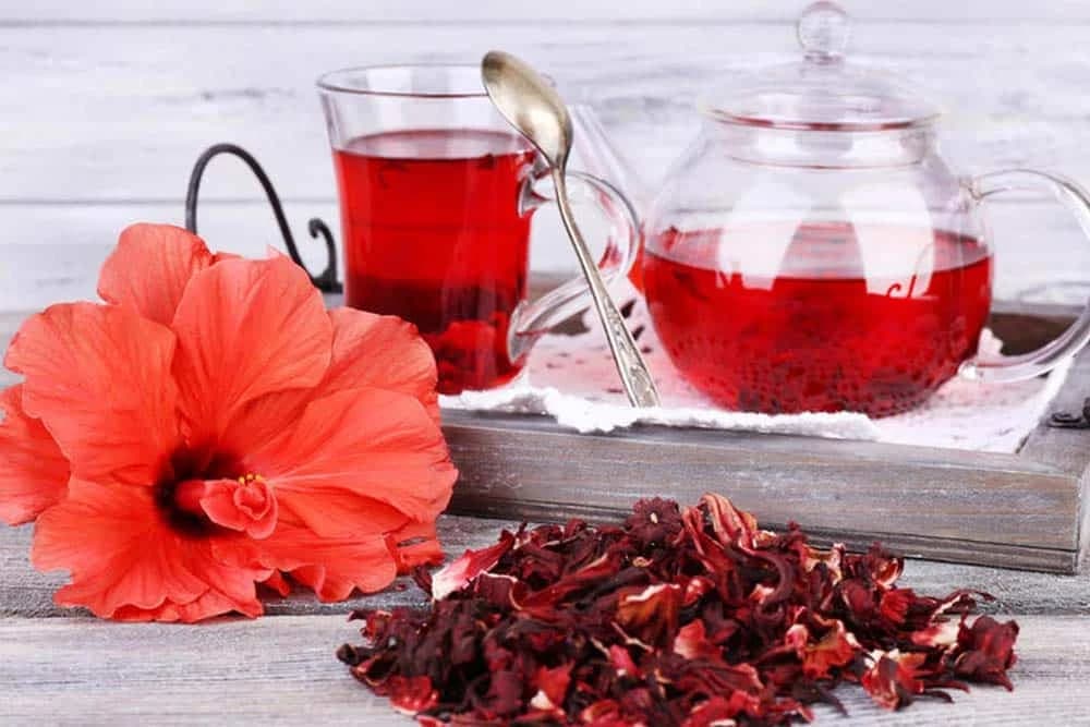 ČAJ OD HIBISKUSA