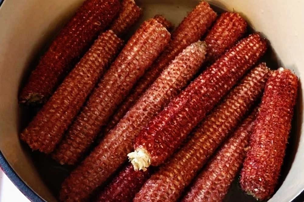 Kako se ovo zove u vašem kraju?