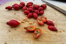 Ulje od šipka za glatku kožu