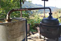 Održavanje kazana za pečenje rakije