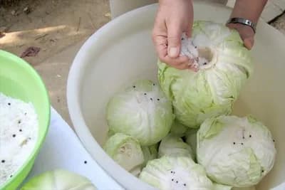 KOLIKO SOLI IDE NA 10 L VODE ZA KISELI KUPUS - Ovo je idealna količina