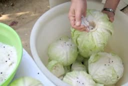 KOLIKO SOLI IDE NA 10 L VODE ZA KISELI KUPUS - Ovo je idealna količina