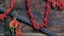 Kako osušiti ljute papričice i kada je pravo vrijeme za branje