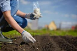 Radovi u martu u organskoj bašti