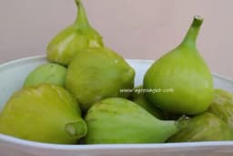 Najljekovitija VOĆKA na svijetu: Svakog jutra pojedite jednu SMOKVU na prazan stomak i ne brinite za zdravlje!