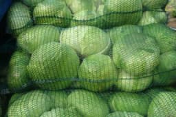 Zašto su kupus i krompir poskupjeli i do nekoliko puta? (VIDEO)