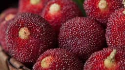 Planinske breskve - Ljekovita voćka za koju vjerovatno niste ni čuli