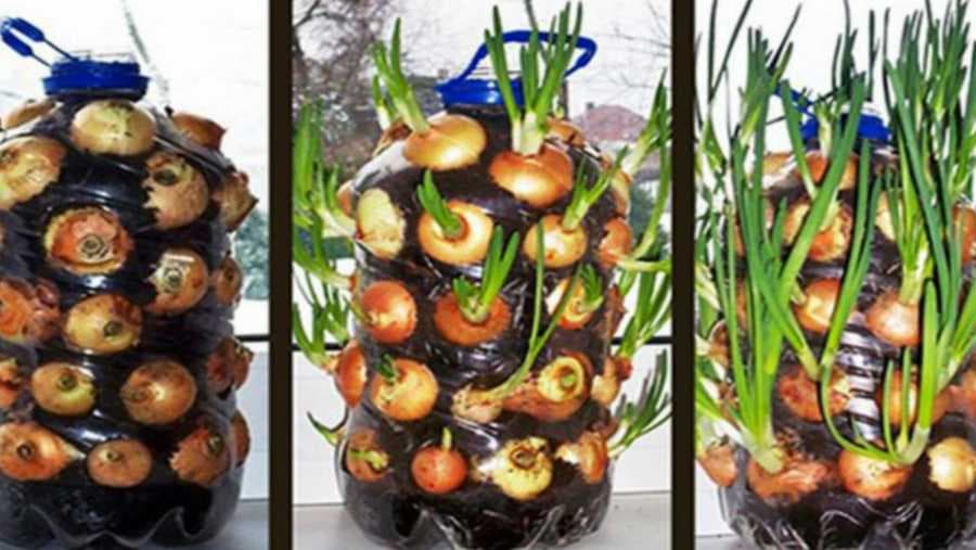 Luk u balonu za vodu